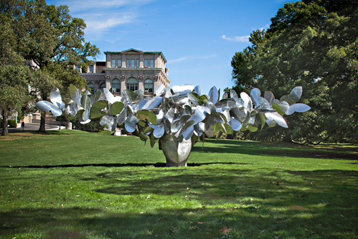 botanical gardens